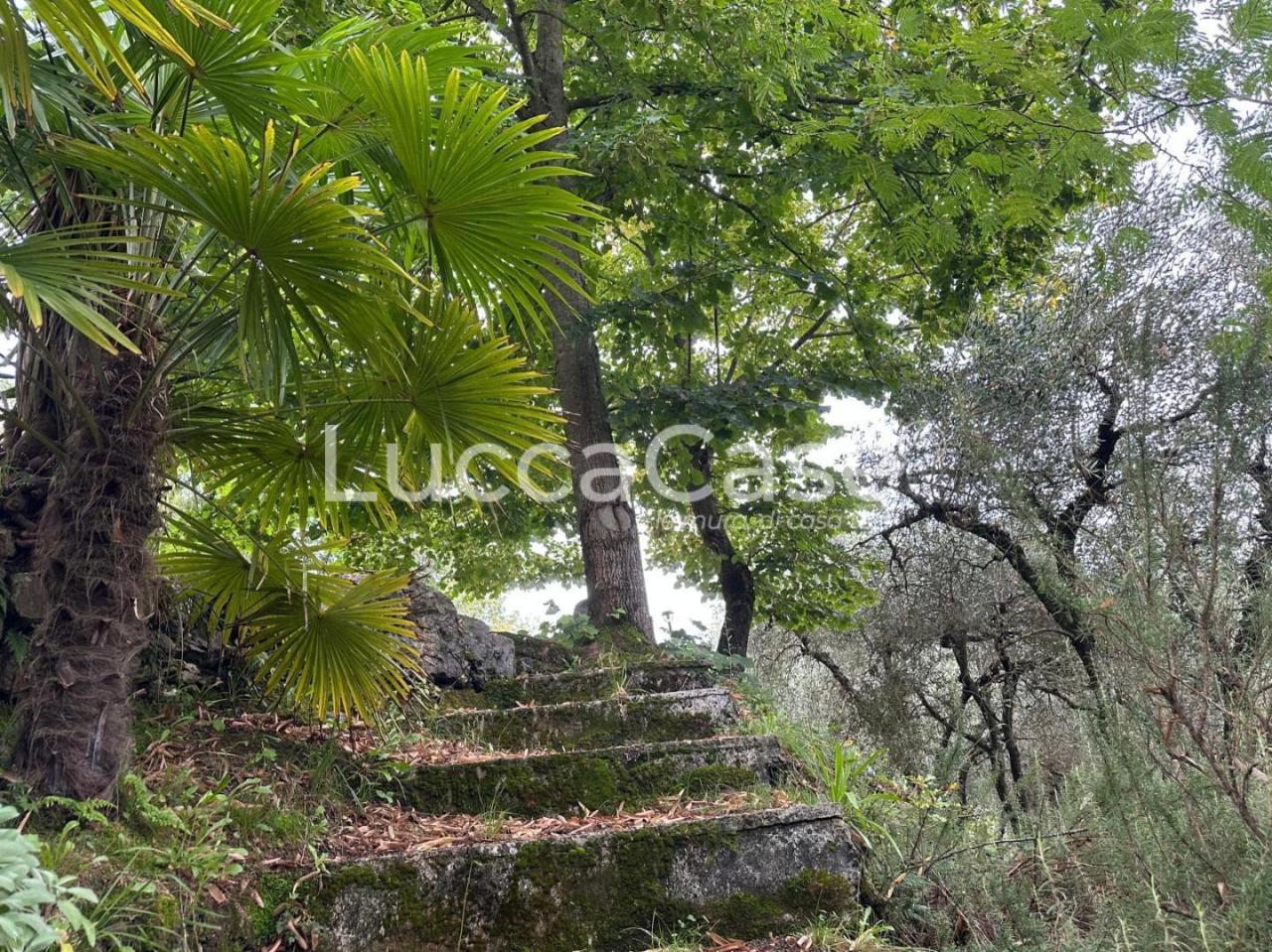 Vendita Rustico, Borgo a Mozzano foto
