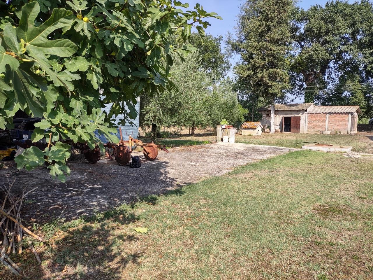Vendita Pentavani, Jesi foto