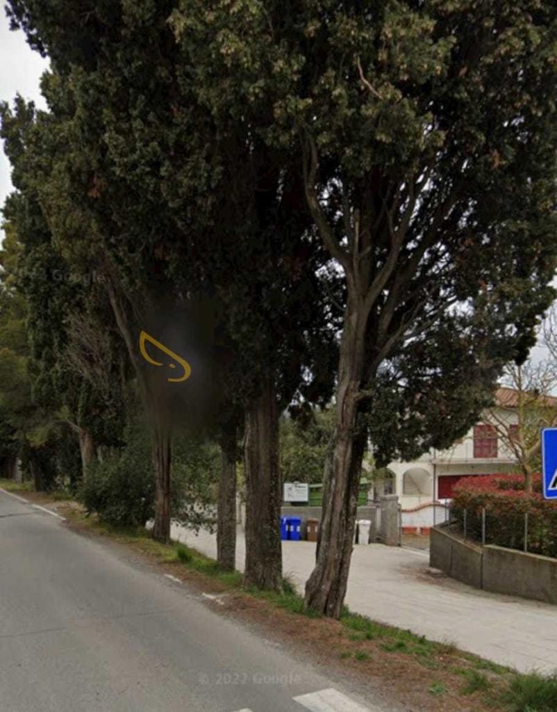 Affitto Monovano, Rosignano Marittimo foto