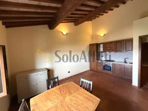 Affitto Bivani, Lajatico