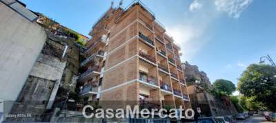 Vendita Trivani, Rocca di Papa Vendita Trivani, Rocca di Papa