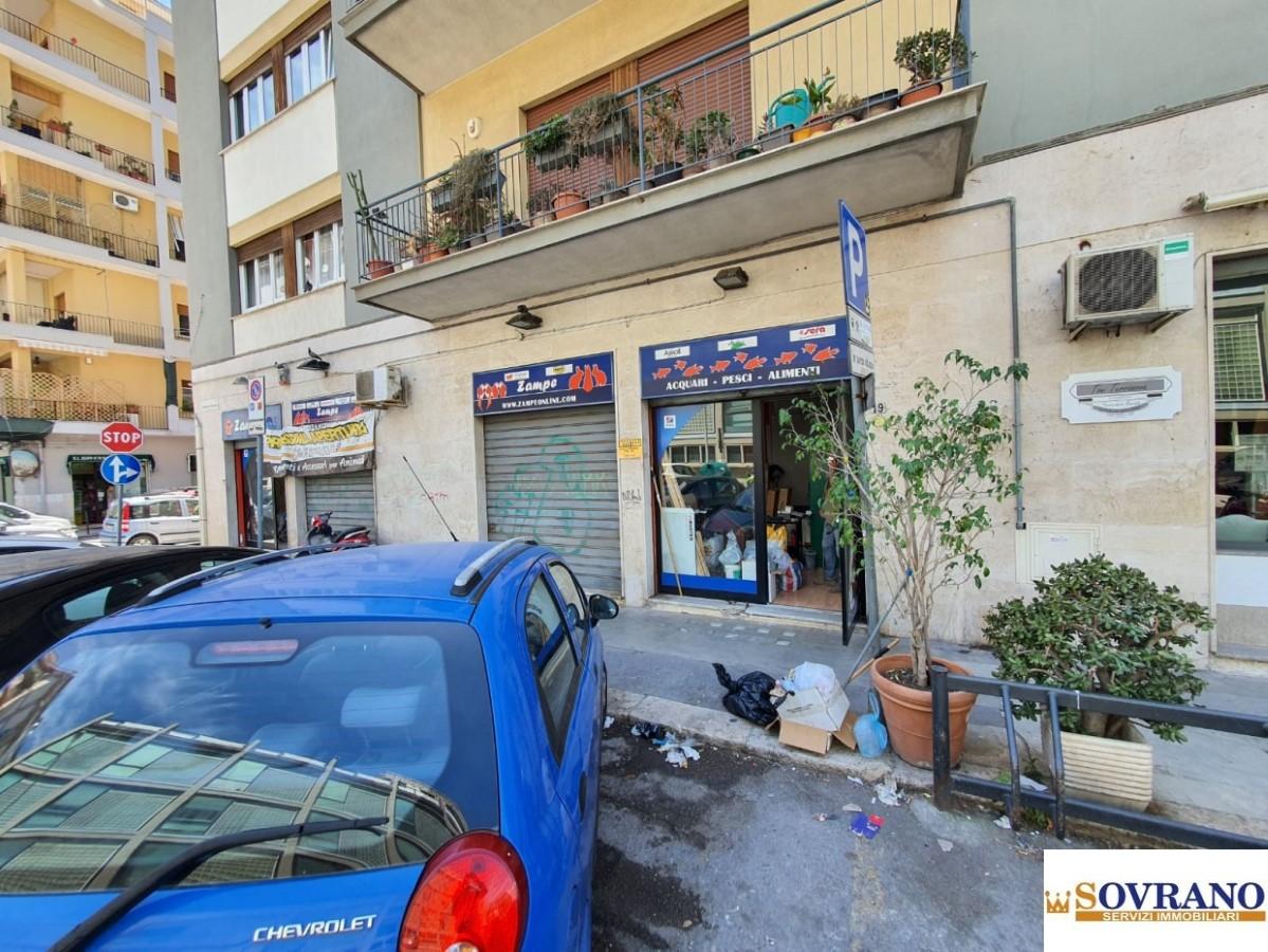 Affitto Monovano, Palermo foto