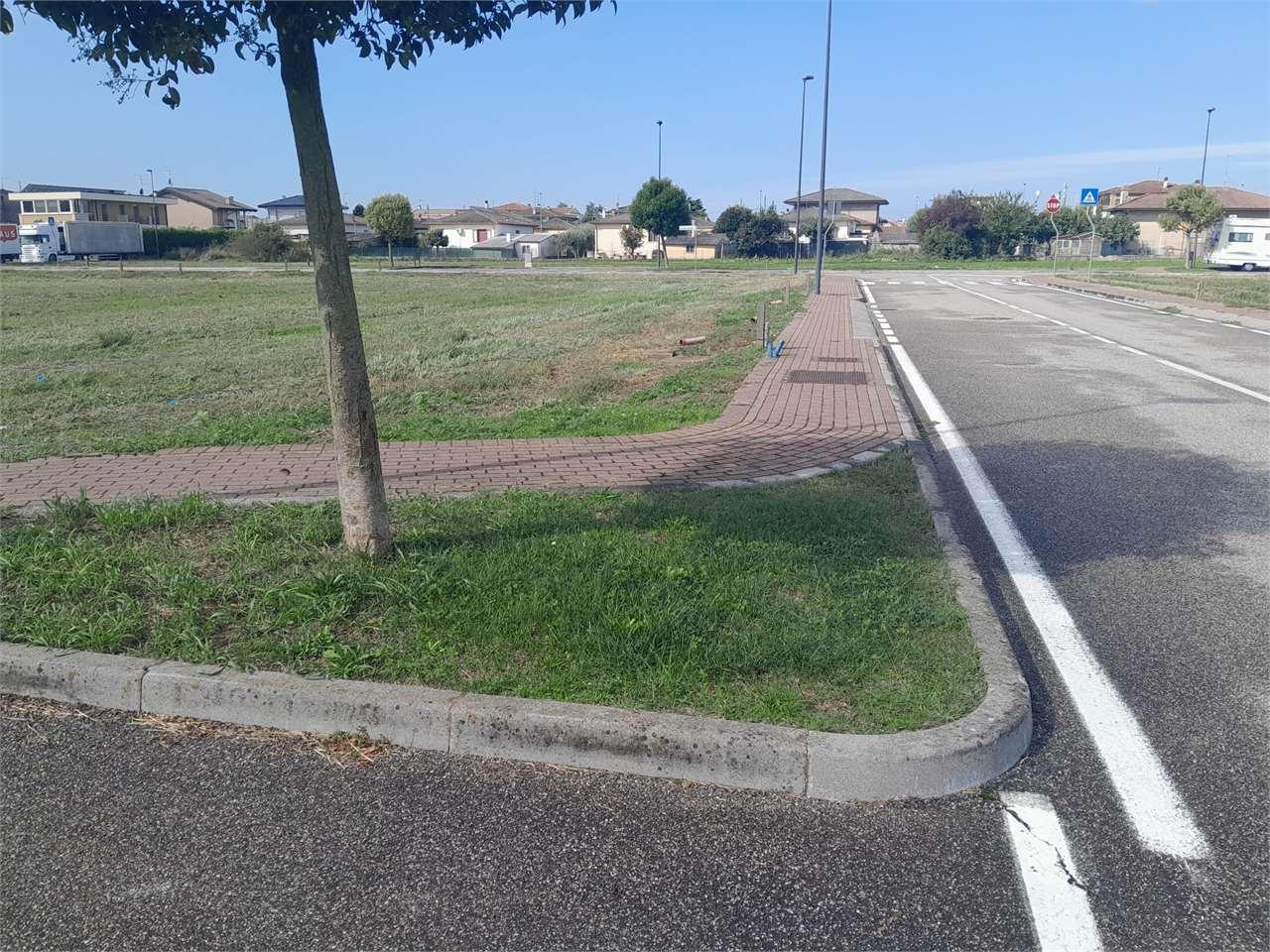 Vendita vendita, Belfiore foto