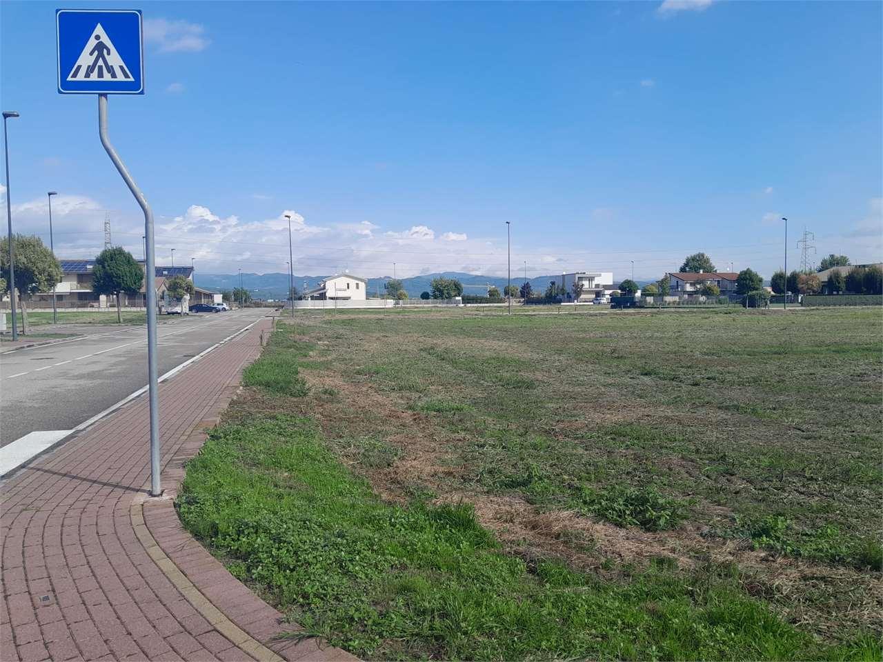 Vendita vendita, Belfiore foto