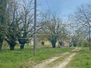 Vendita vendita, Ferrara