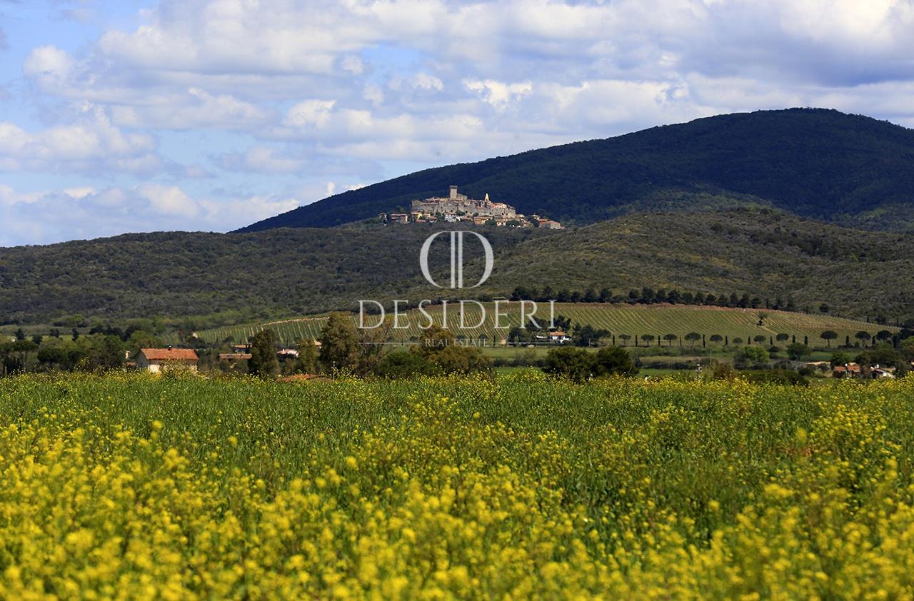 Vendita Trivani, Capalbio foto