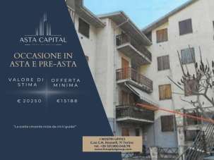 Vendita Bivani, Viola Vendita Bivani, Viola