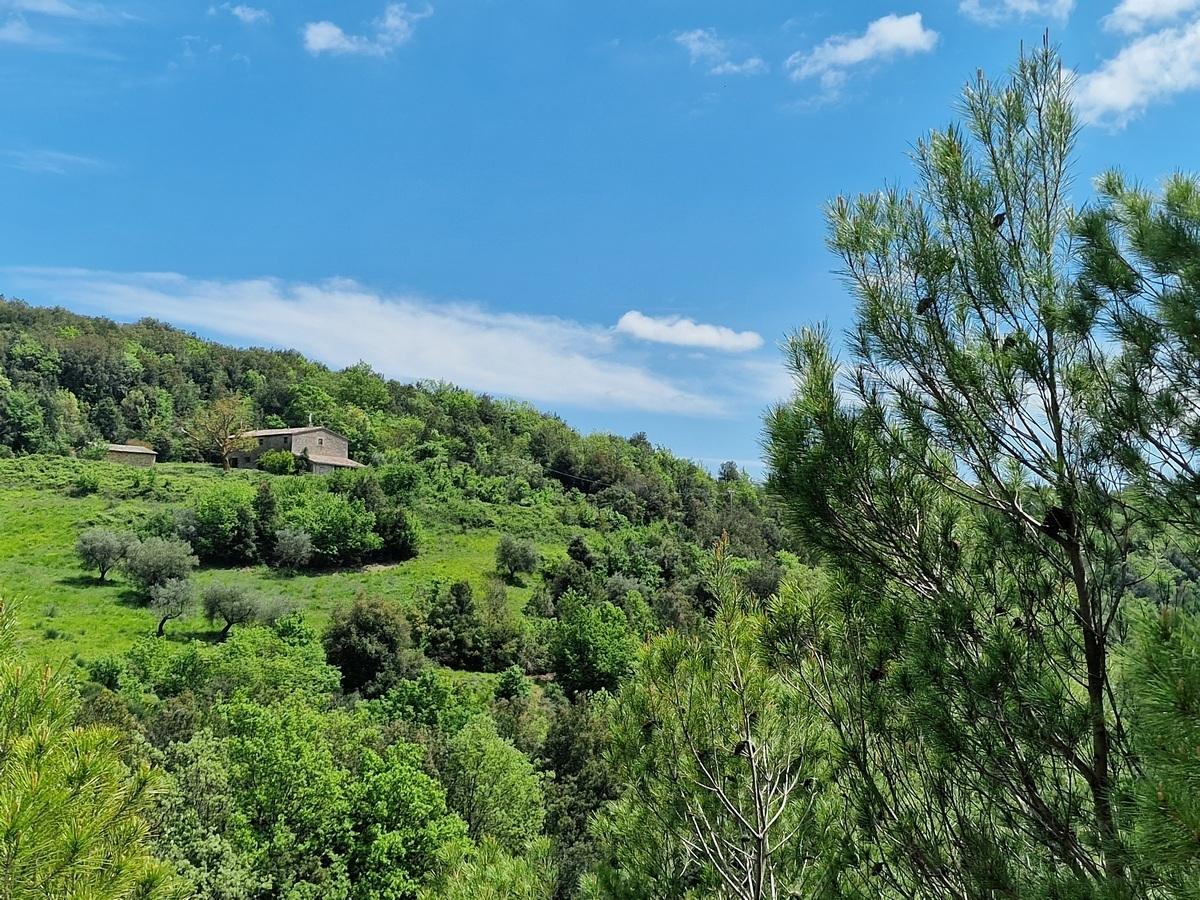 Vendita Case, Orvieto foto