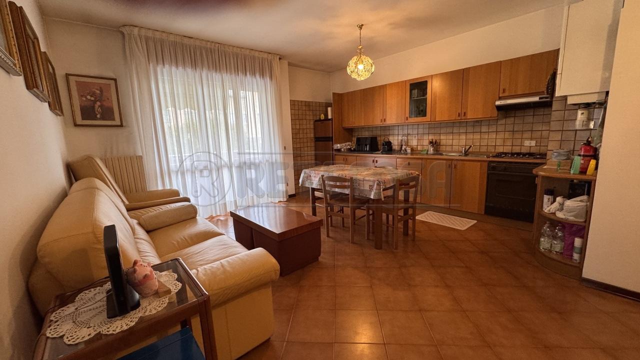 Vendita Trivani, Mirano foto