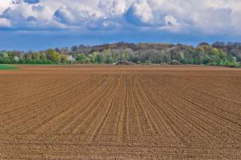 Vendita Commerciale, Castelvetrano