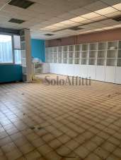 Affitto Multivani, Faenza