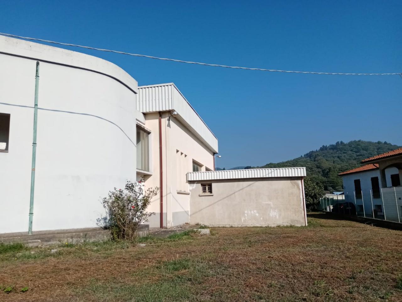 Vendita Ville, Campiglia Marittima foto