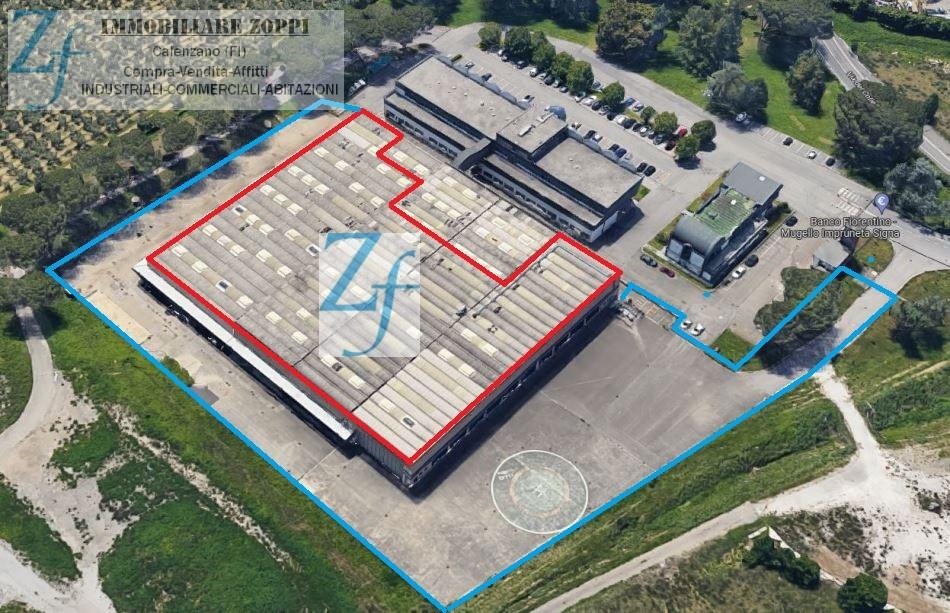 Affitto Multivani, Sesto Fiorentino foto