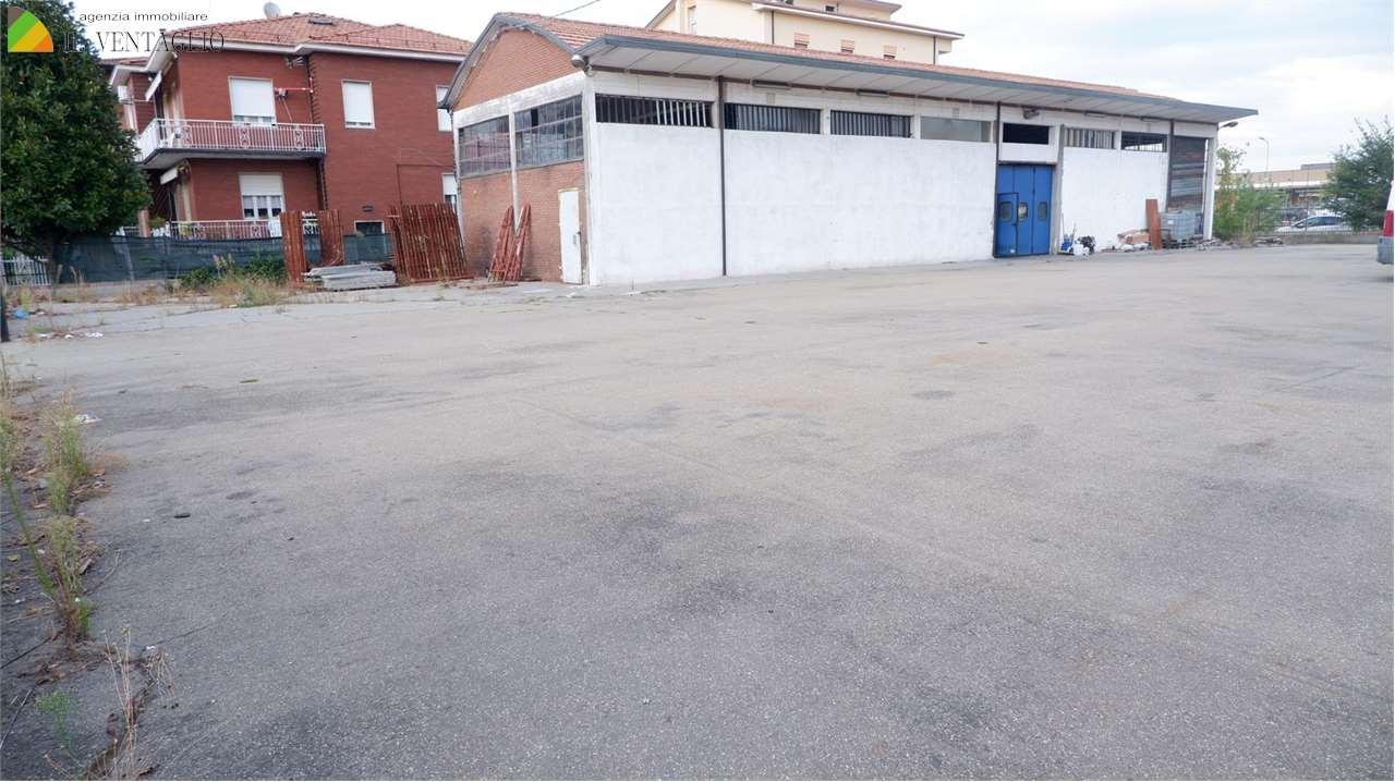 Vendita vendita, Sassuolo foto