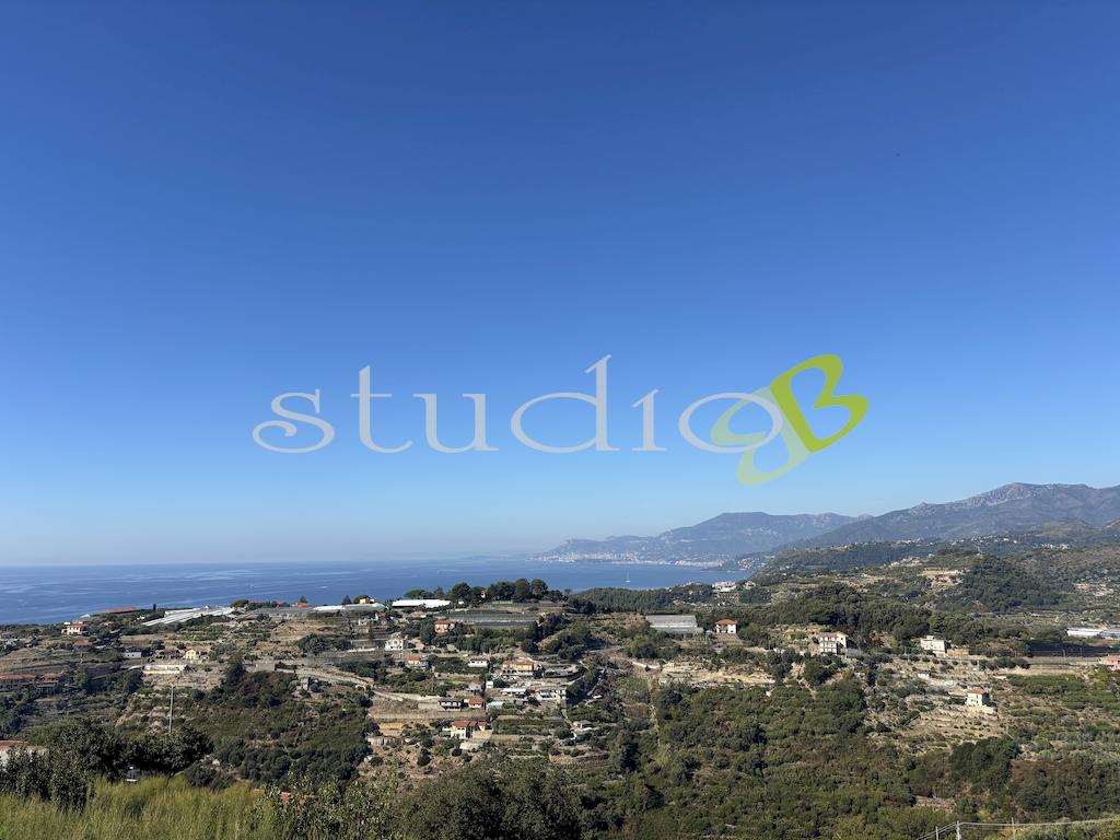 Vendita vendita, Bordighera foto