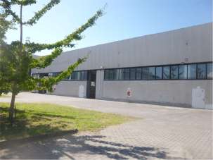 Affitto affitto, Forli