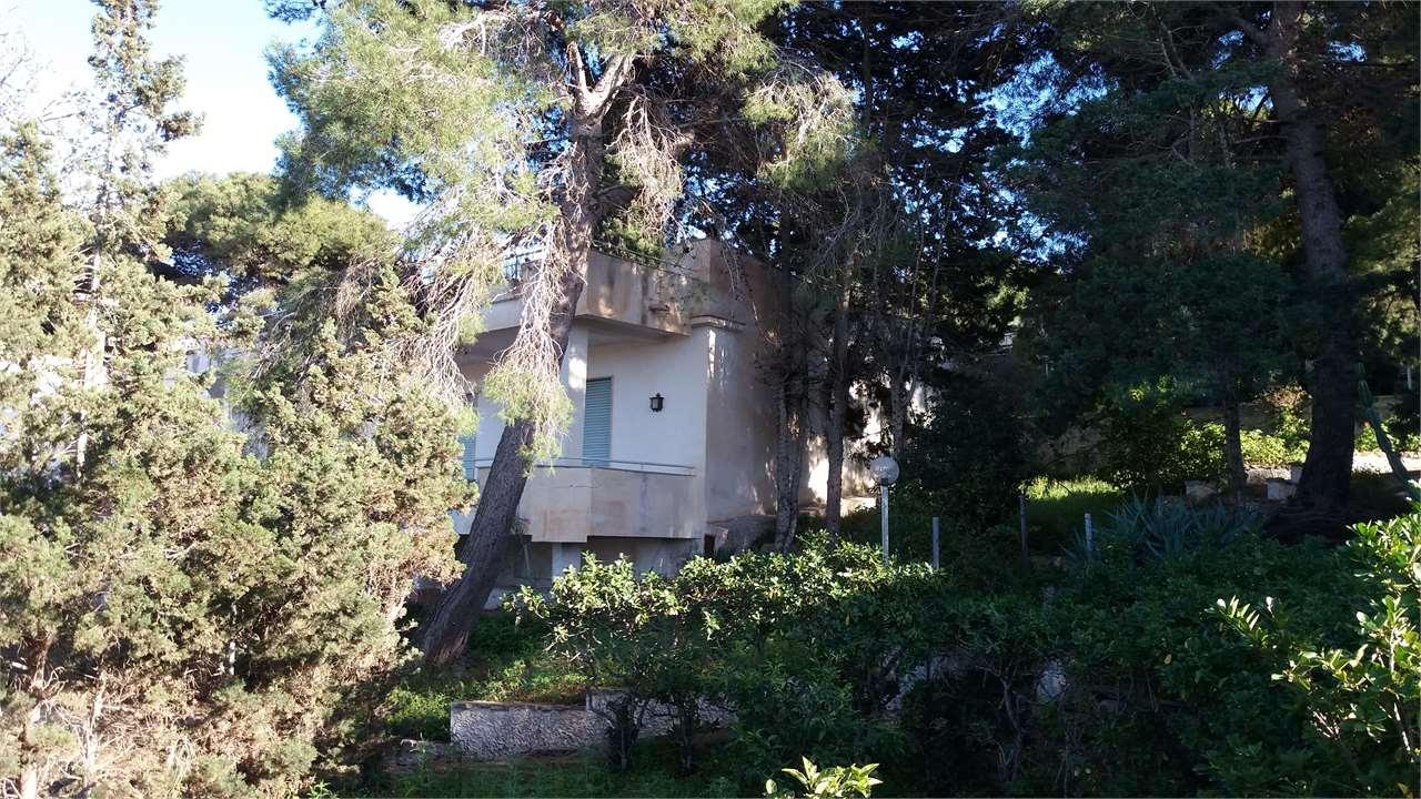 Vendita vendita, Marsala foto