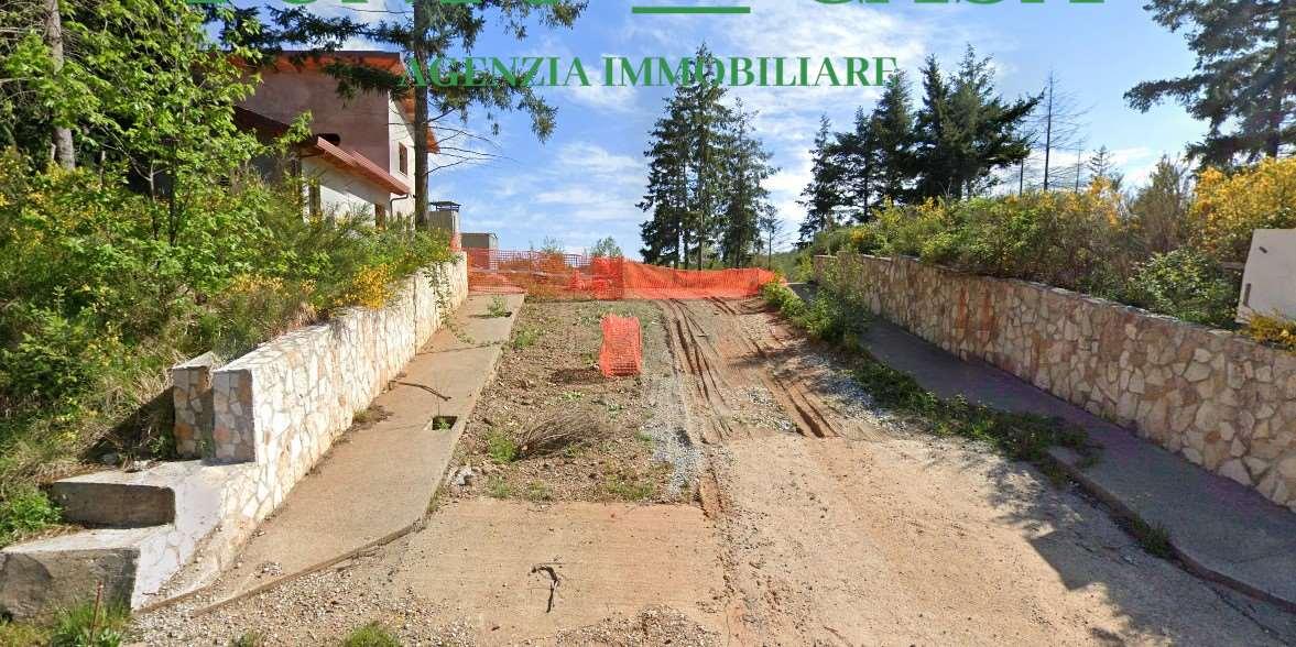 Vendita vendita, Conflenti foto