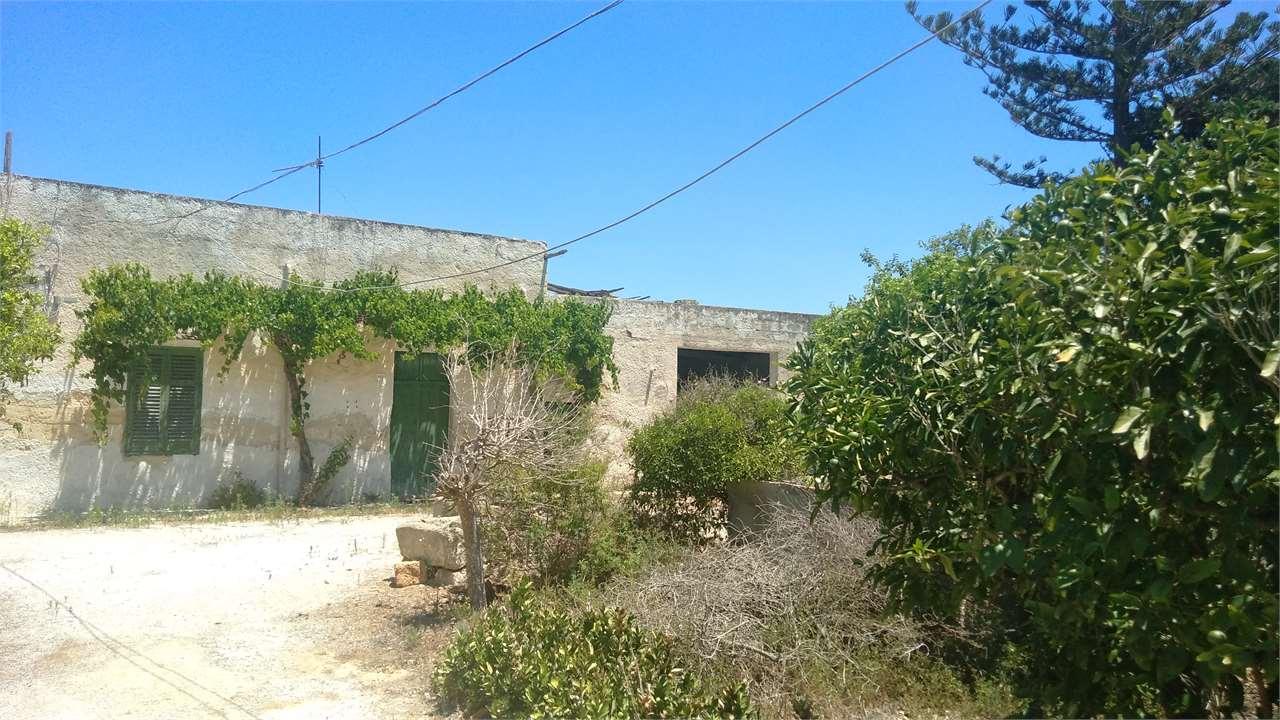 Vendita vendita, Marsala foto