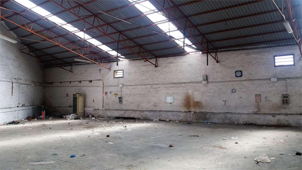 Affitto affitto, Marsala Affitto affitto, Marsala foto