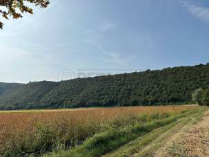 Vendita Terreni, Arcugnano