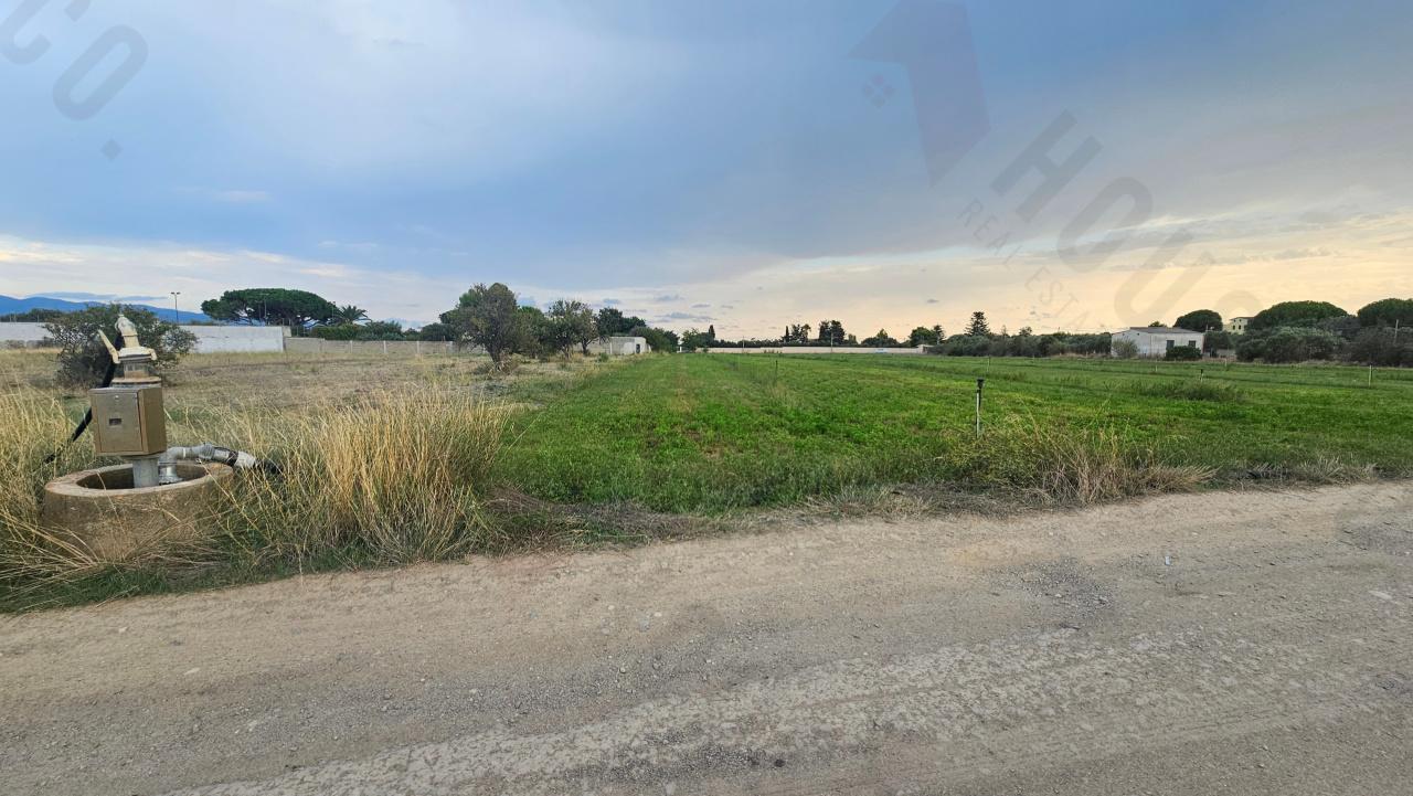 Vendita Terreni, Quartu Sant'Elena foto