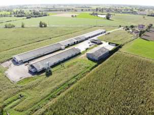 Vendita Multivani, Leno