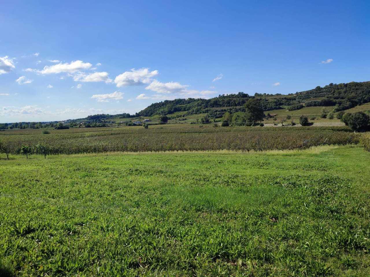 Vendita Monovano, Montebello Vicentino foto