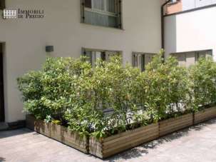 Vendita Trivani, Milano