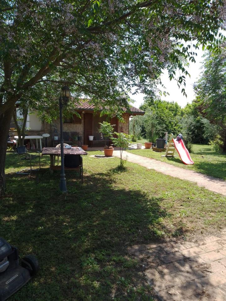 Vendita Trivani, Follonica foto