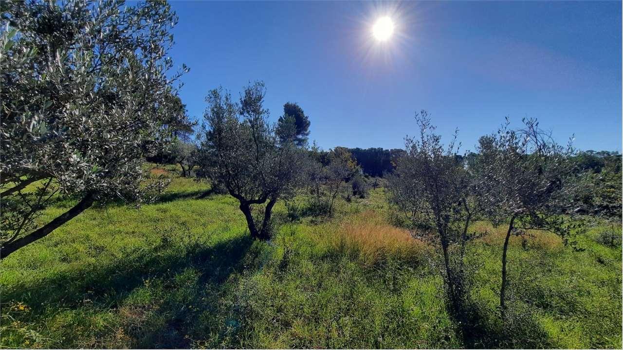 Vendita vendita, Monte San Giovanni Campano foto