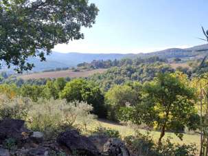 Vendita Bivani, Todi Vendita Bivani, Todi
