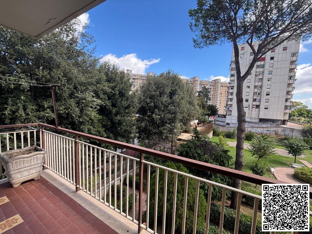 Vendita Bivani, Napoli foto