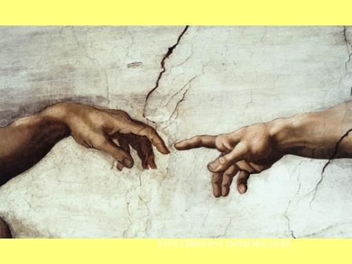 Affitto COMMERCIALE, Firenze foto