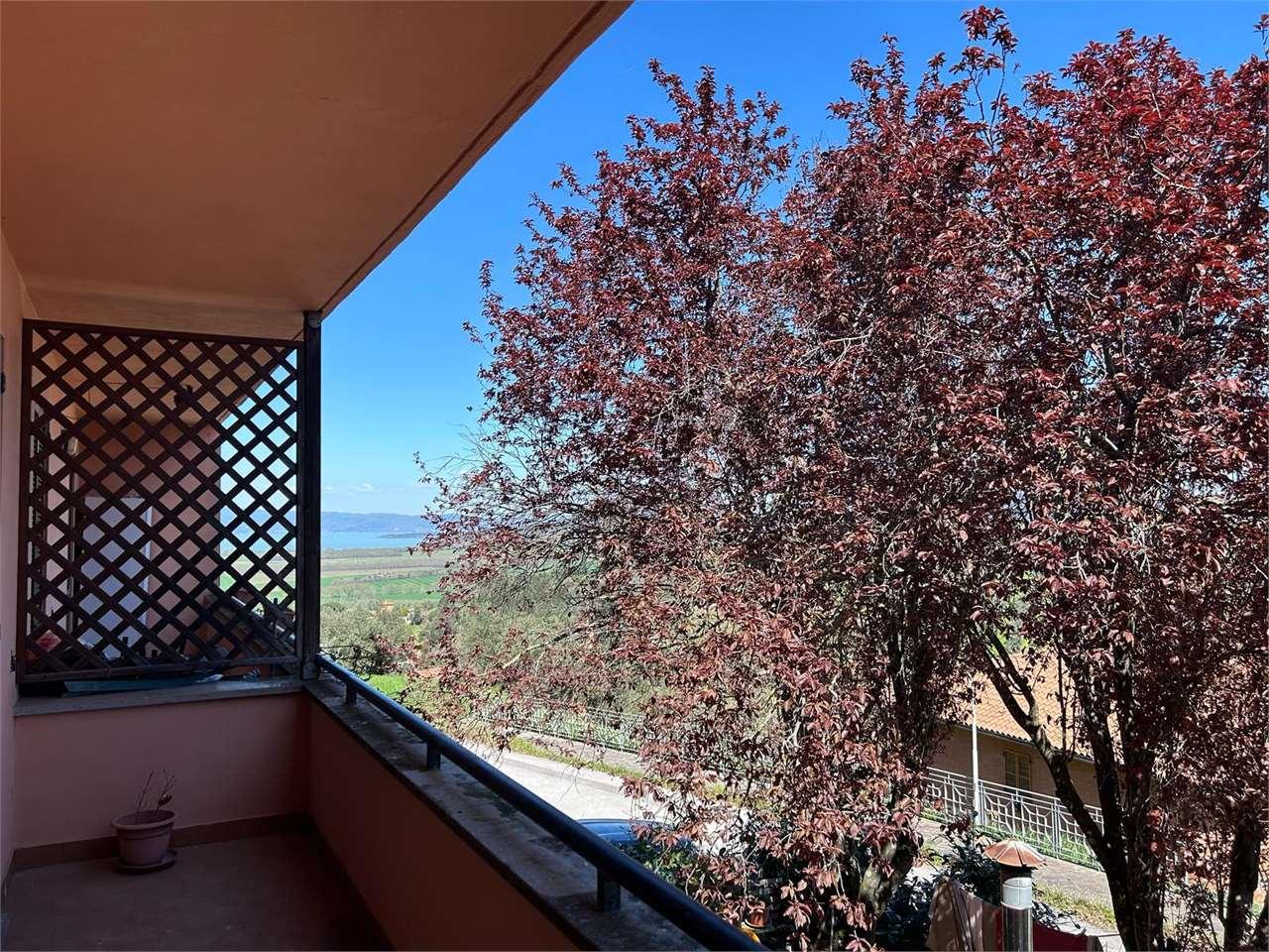 Vendita vendita, Panicale Vendita vendita, Panicale foto