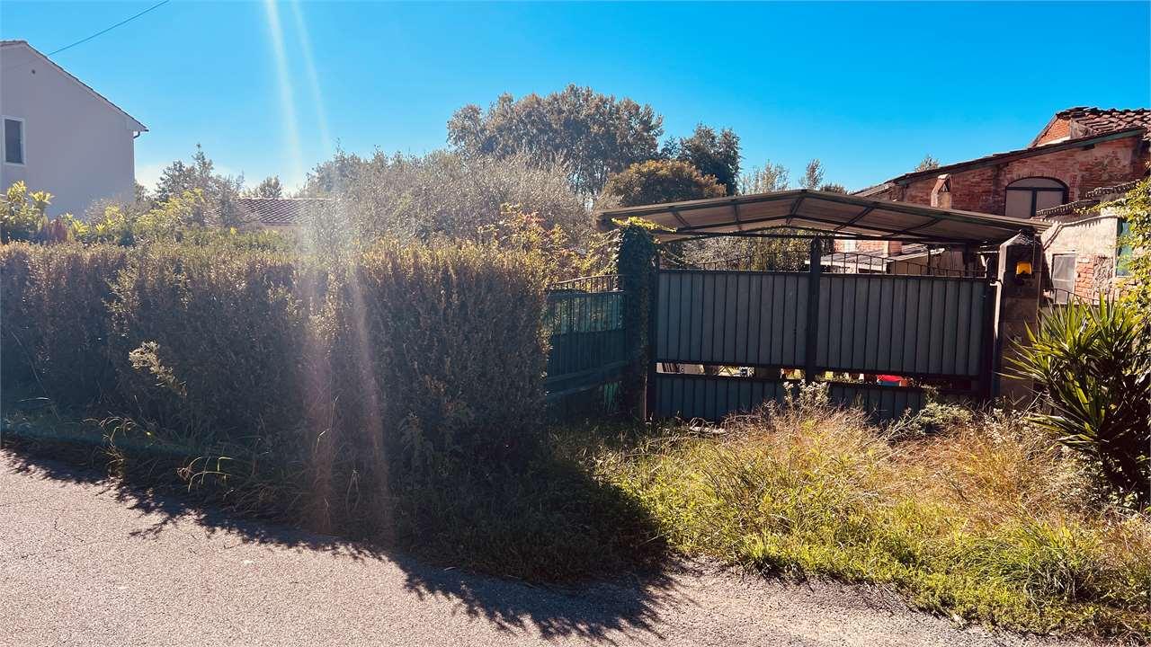 Vendita vendita, Capannori foto