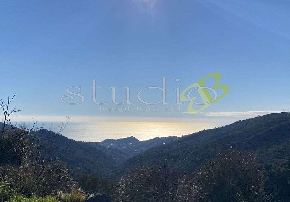 Vendita vendita, Seborga foto