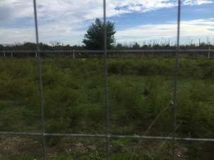 Vendita Terreno, Casaluce Vendita Terreno, Casaluce