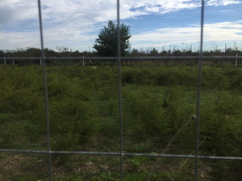 Vendita Terreno, Casaluce foto