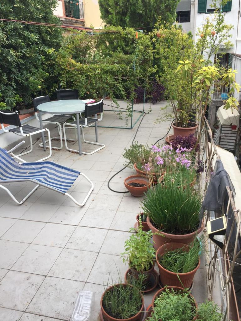 Venta Pentavani, Firenze foto