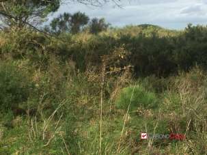 Vendita Loft, mansarde e attici, Messina Vendita Loft, mansarde e attici, Messina