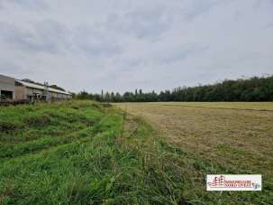 Vendita Loft, mansarde e attici, Arluno