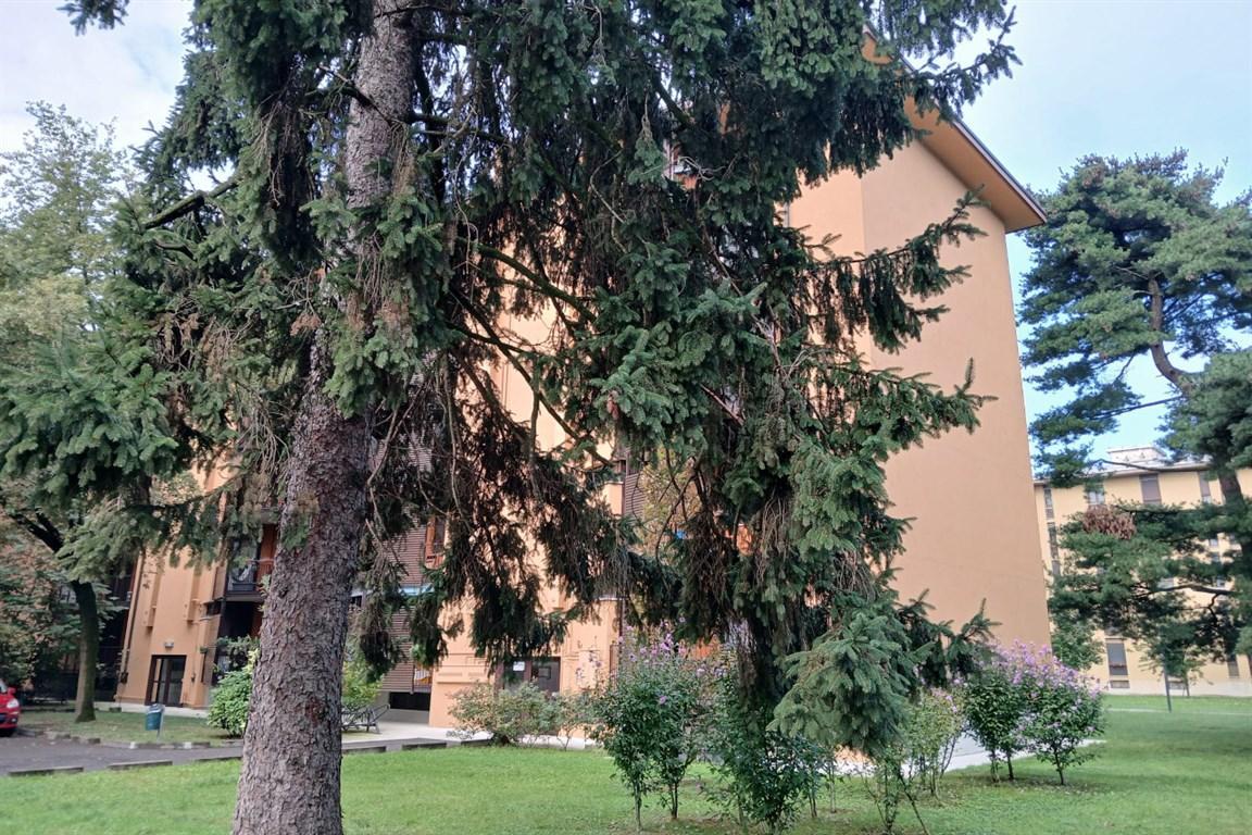 Vendita false, San Donato Milanese Vendita false, San Donato Milanese foto