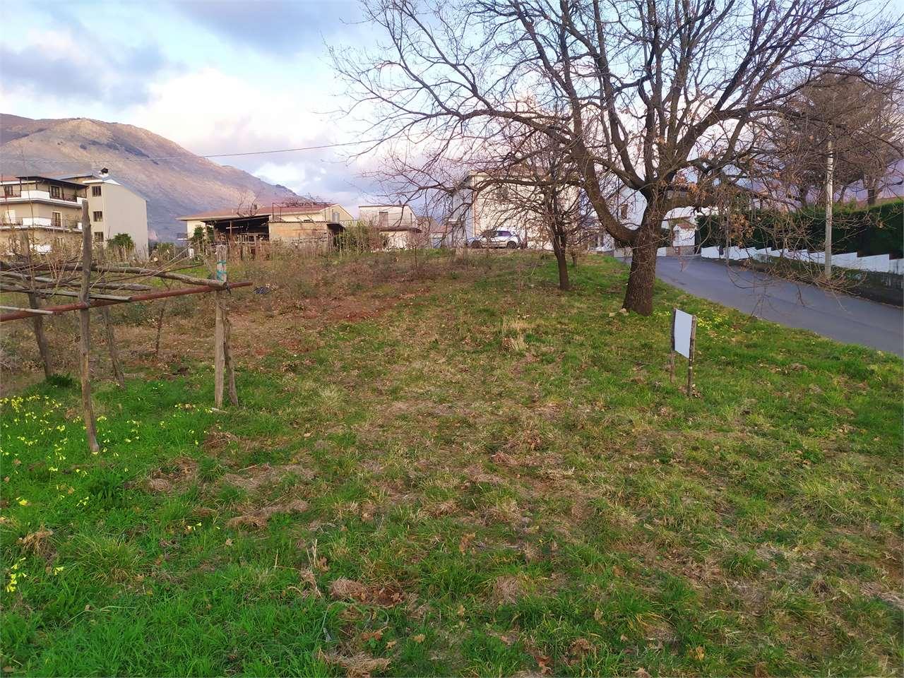 Venta vendita, Maiera foto