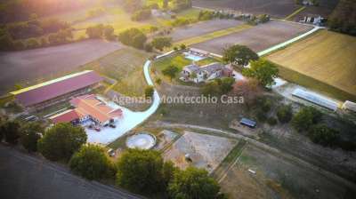 Vendita Attività Commerciale, San Lorenzo in Campo
