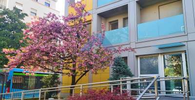 Affitto Ufficio, Monza