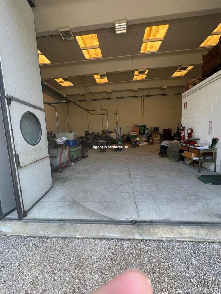 Vendita Capannone, Pesaro foto