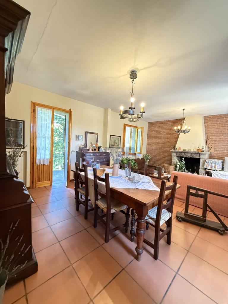 Vendita Eptavani, Zocca foto