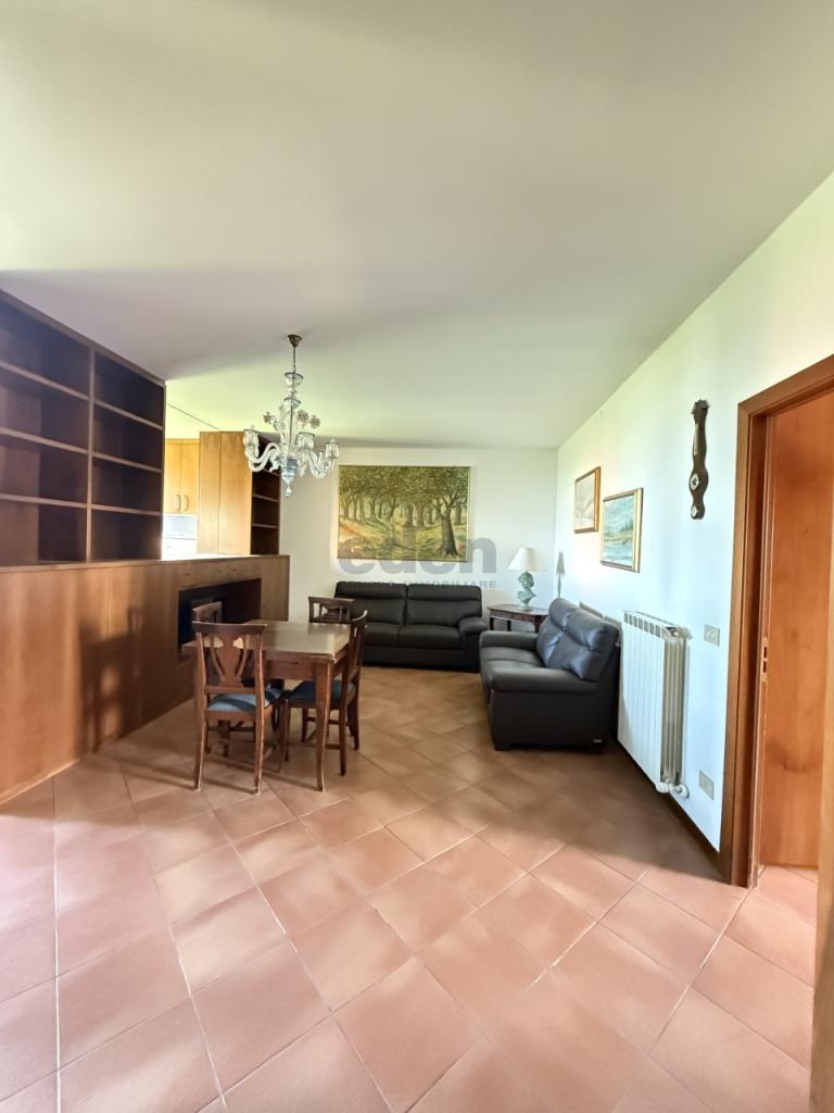 Vendita Pentavani, Modena foto