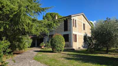 Vendita Multivani, Terni